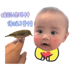 大眼想想的可愛日常
