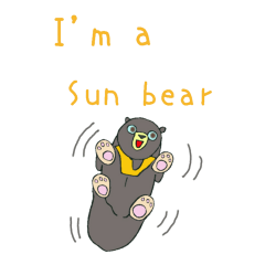 Hello! I'm a Sun Bear!