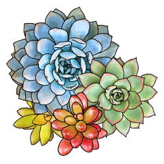 Greeting with Succulent Plants