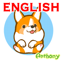 Corgi Anthony[english ver]