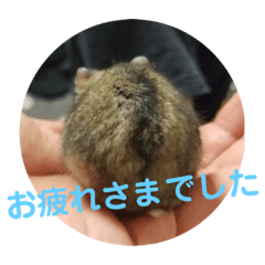 asuka_20201126201139