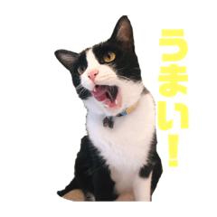 nozomi_20201126230431