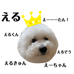 arisa_20201126233547