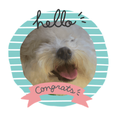 yukari_20201127001409