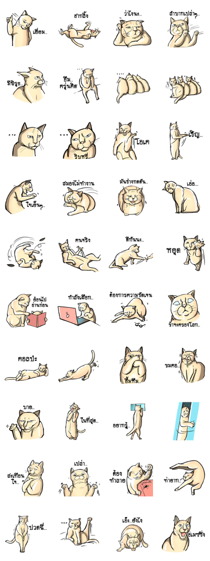 Actually I'm cat Ver.2