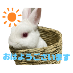 ARISA_20201126204908