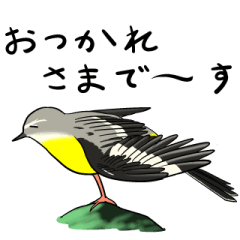 Wild Bird Sticker 2.1