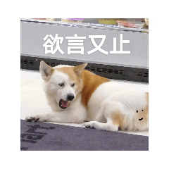 狗勾、泥馬、雞和海