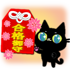 Small, obliging, black cat.4