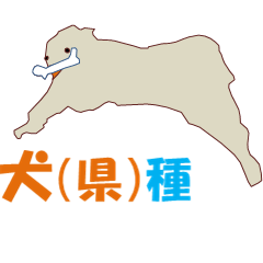 Dog breed MV