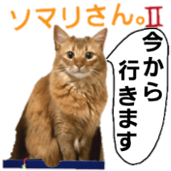 Cat Sticker Somari2