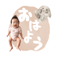 tanuki_20201127144827