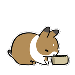三只可愛的兔寶寶