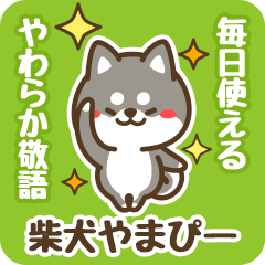 Petit Black Shiba Yamapii (Honorific)