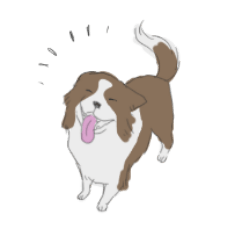 Border collie pencil touch ver
