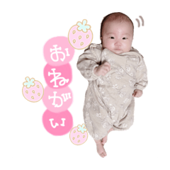 maple_20201127155242