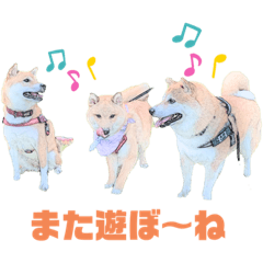 KUROSUKE_20201127183535