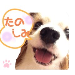 JUNKO_20201128000731