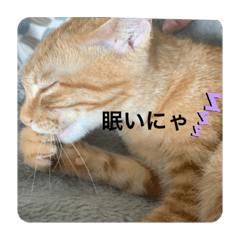 ミーシャのSTAMP