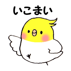 三河弁をしゃべるオカメインコ その2 Line スタンプ Line Store 三河弁をしゃべるオカメインコ その2 Line スタンプ Line Store