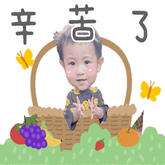 西瓜小童