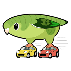 サザナミインコのムイ 2 Line スタンプ Line Store サザナミインコのムイ 2 Line スタンプ Line Store