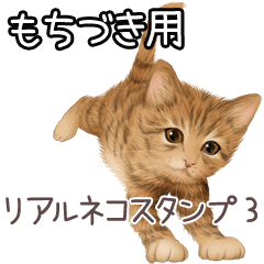 Mochizuki Real pretty cats 3