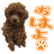 Msama's Sticker