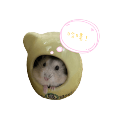 喜憨鼠