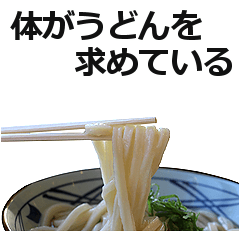 Udon2