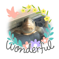 龜龜＆鼠鼠＆小愛文