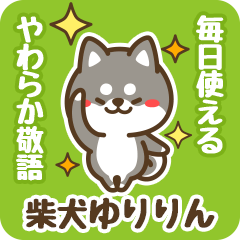 Petit Black Shiba Yuririn (Honorific)