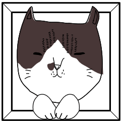 Miso-tan of cat