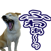 Msama's dog Sticker