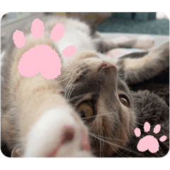 natsumi_20201128130831