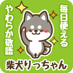 Petit Black Shiba Ricchan (Honorific)