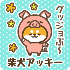 Petit Shiba Akkii (Joke Animal)