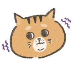 Latte! The chubby orange cat
