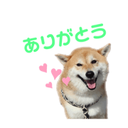 roco._.moco_20201128183506