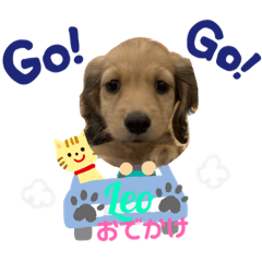 sherry_20201128205617