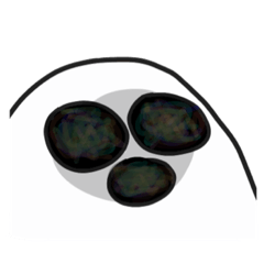 d_20201128221513