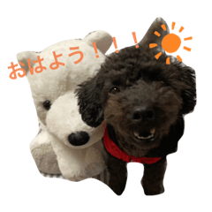 Yun_20201128215008