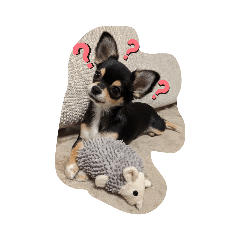 chisa_20201128205718