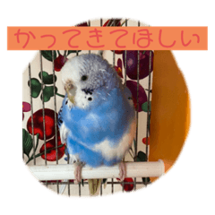 Emily_20201128230959