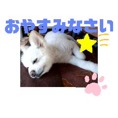 TONTON_20201129104326
