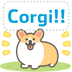 1corgi message stickers