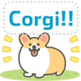 1corgi message stickers