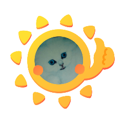 我和朋友的喵喵