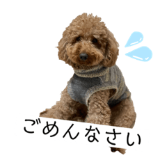 Natsumi_20201128190456