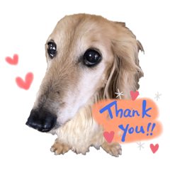 Nagisa_20201128221650